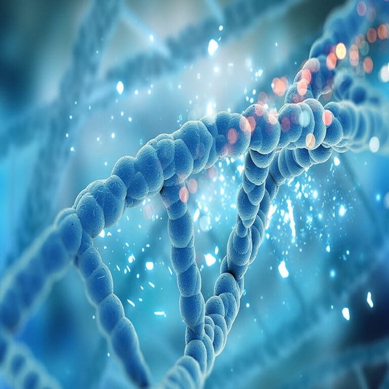 Exosome