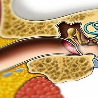 Eardrum Repair